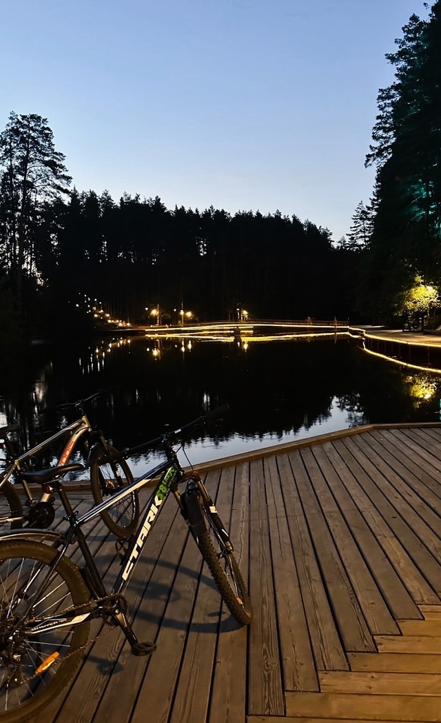 Задолбали уже некоторые велосипедисты. Несутся по тро?...