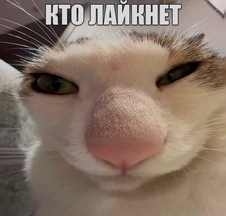 Ночная подборочка
Спать, режим