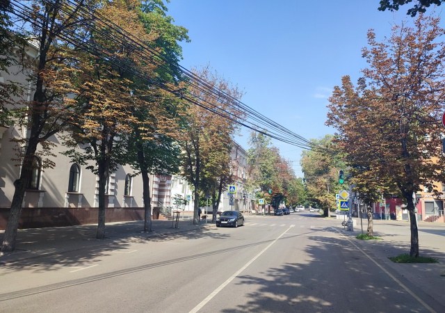 На единственной в Воронеже каштановой улице Комиссарж...