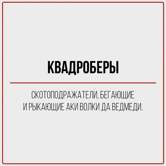 Ох уж эти новые словечки😅