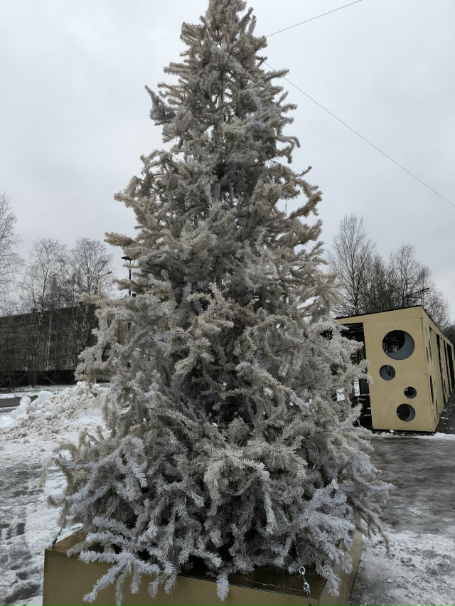 Такое позорище поставили в парке, Орджоникидзевского ?...