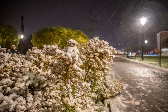 Тихие улицы Чусового, засыпанные первым снегом
Фото: С...