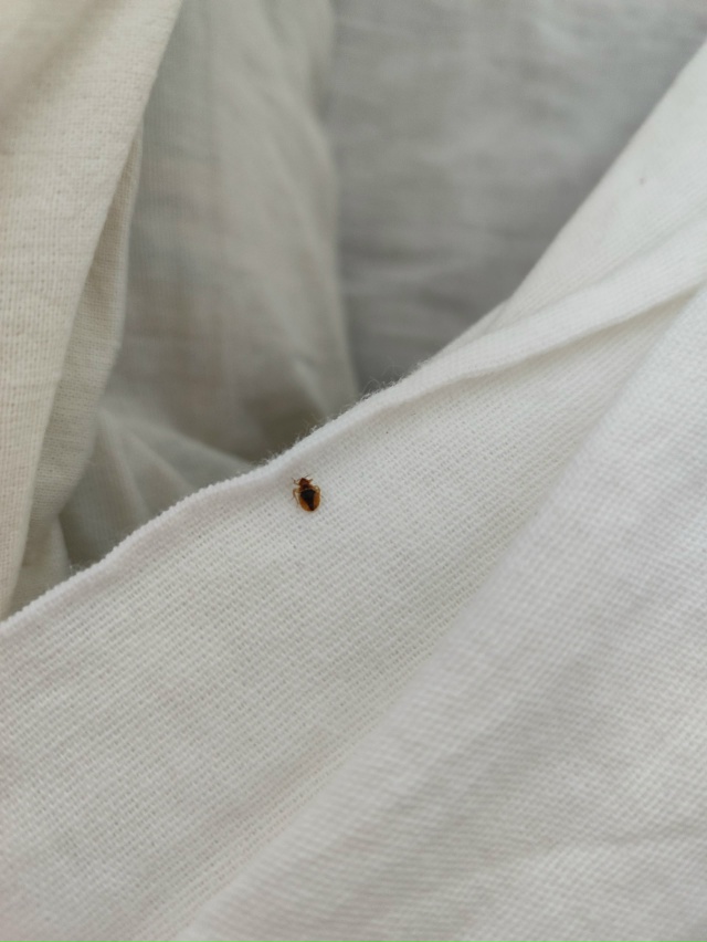 Министерство здравоохранения Смоленской области. В да...