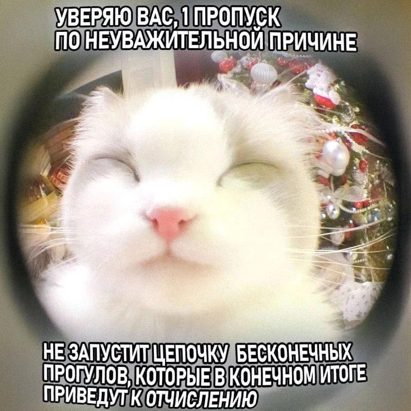 Утренняя подборочка