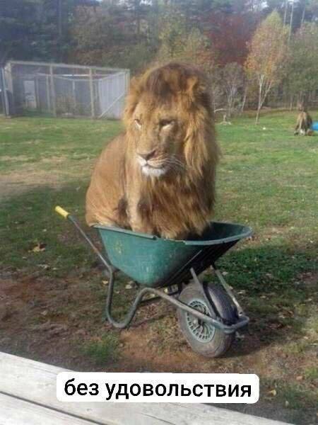 когда он везет тебя в рестик, но вы посрались перед выходом