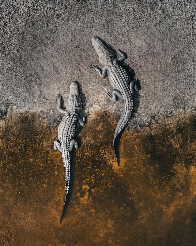 Гипнотические фотографии с дронов от автора Abstract Aerial Ar...