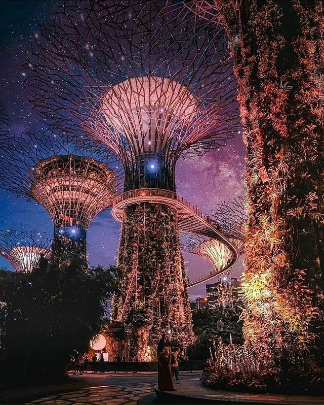 Сингапур 🇸🇬, Сады у залива
Сады у залива — это больш?...