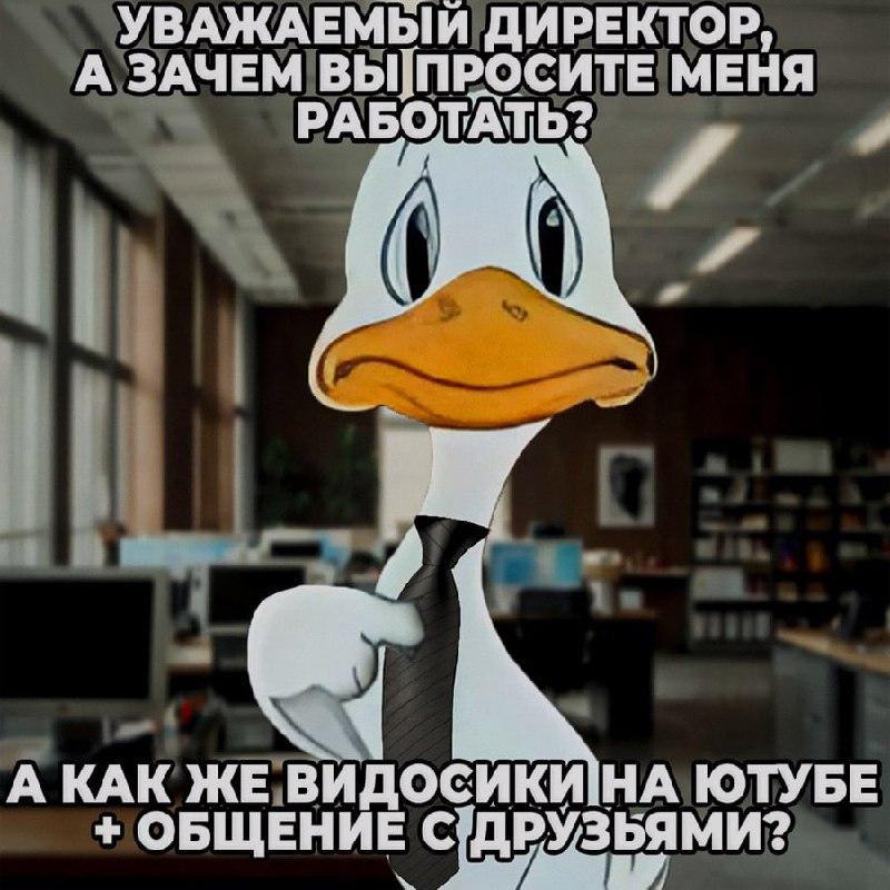 Ночная подборочка
Спать, режим