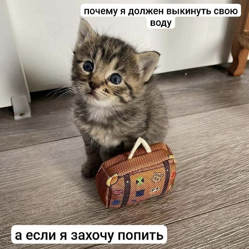 Утренняя подборочка