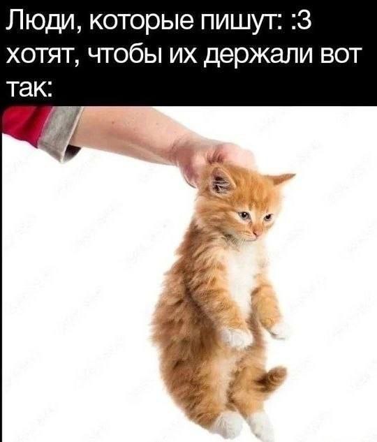 Утренняя подборочка