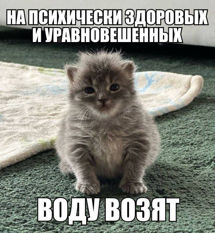 Утренняя подборочка