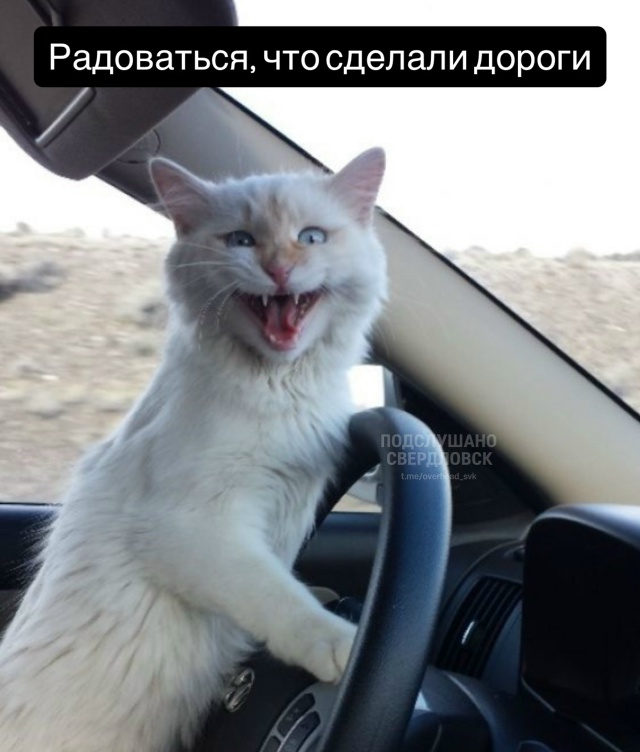 Вся жизнь Свердловчан в мемах 🙂