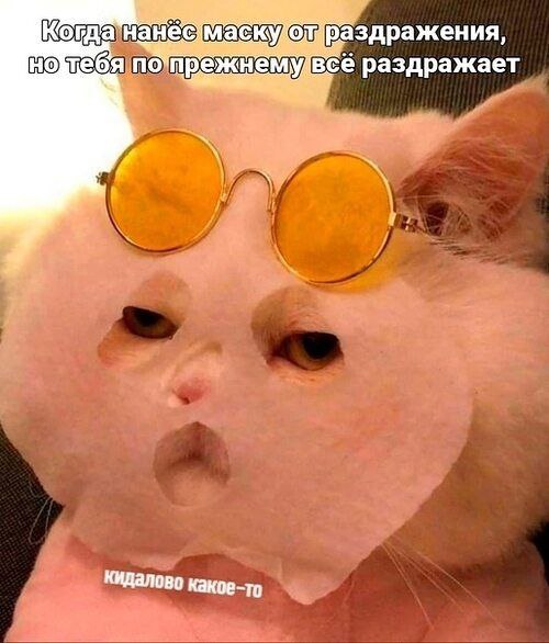 Девочки, сегодня отмечается Всемирный день без косметики и макияжа.
Сегодня наслаждаемся красотой с