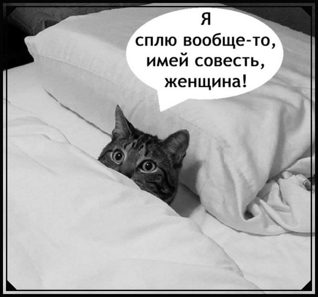 Хозяина разбудили.