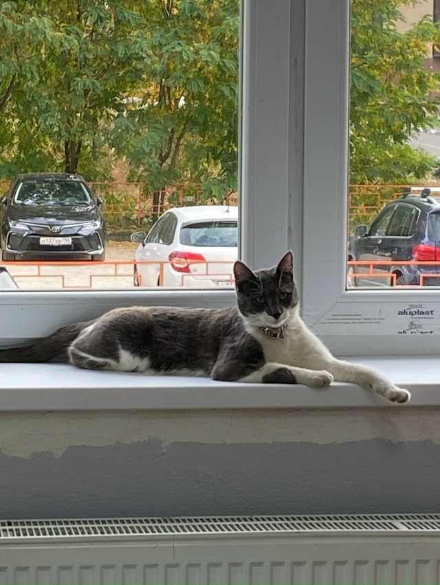 Всем доброго времени суток! На протяжении долгого врем...