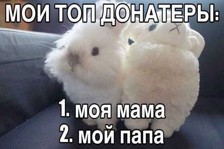 Утренняя подборочка