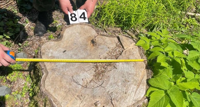 👉В Смоленской области задержали «черного лесоруба»
?...