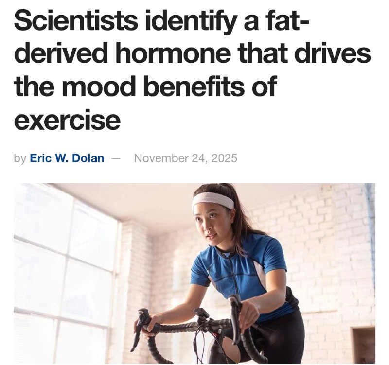 Полчаса тренировки полностью убивают стресс — учёные выяснили, что короткая физическая нагрузка рабо