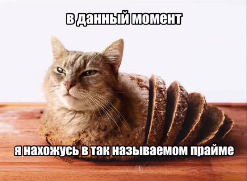 Утренняя подборочка