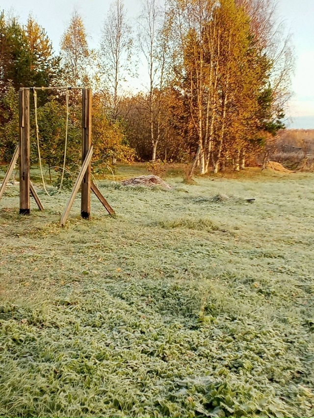 Первые заморозки-крaсиво 🌿🍁Листья В серебряной крaс?...