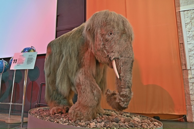 🐘 В Музее пермских древностей есть  огромный скелет ш...