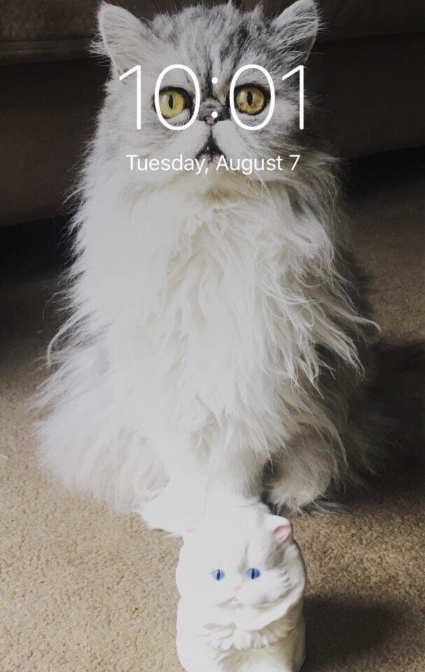 Один раз в день, мой экран блокировки выглядит идеальн?...