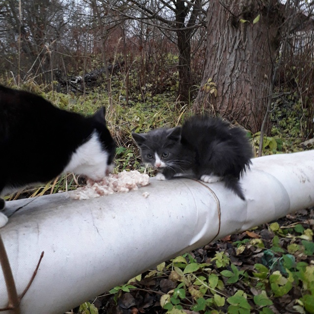 Они Вас ждут