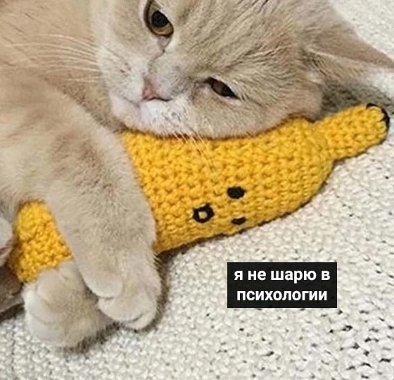 Саш, помоги