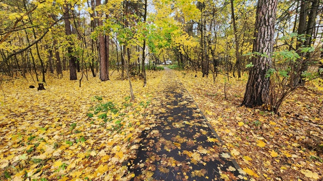 Осень в Протвино