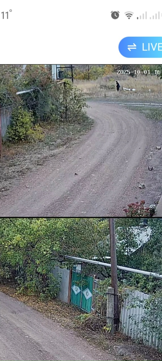 Житель ул.Восточной,не сбуду говорить пока номер дома,?...