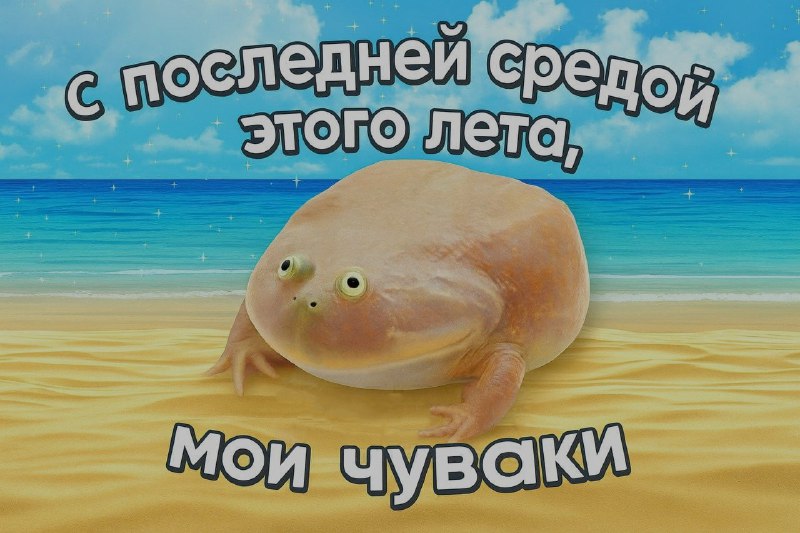 Ночная подборочка
Спать, режим