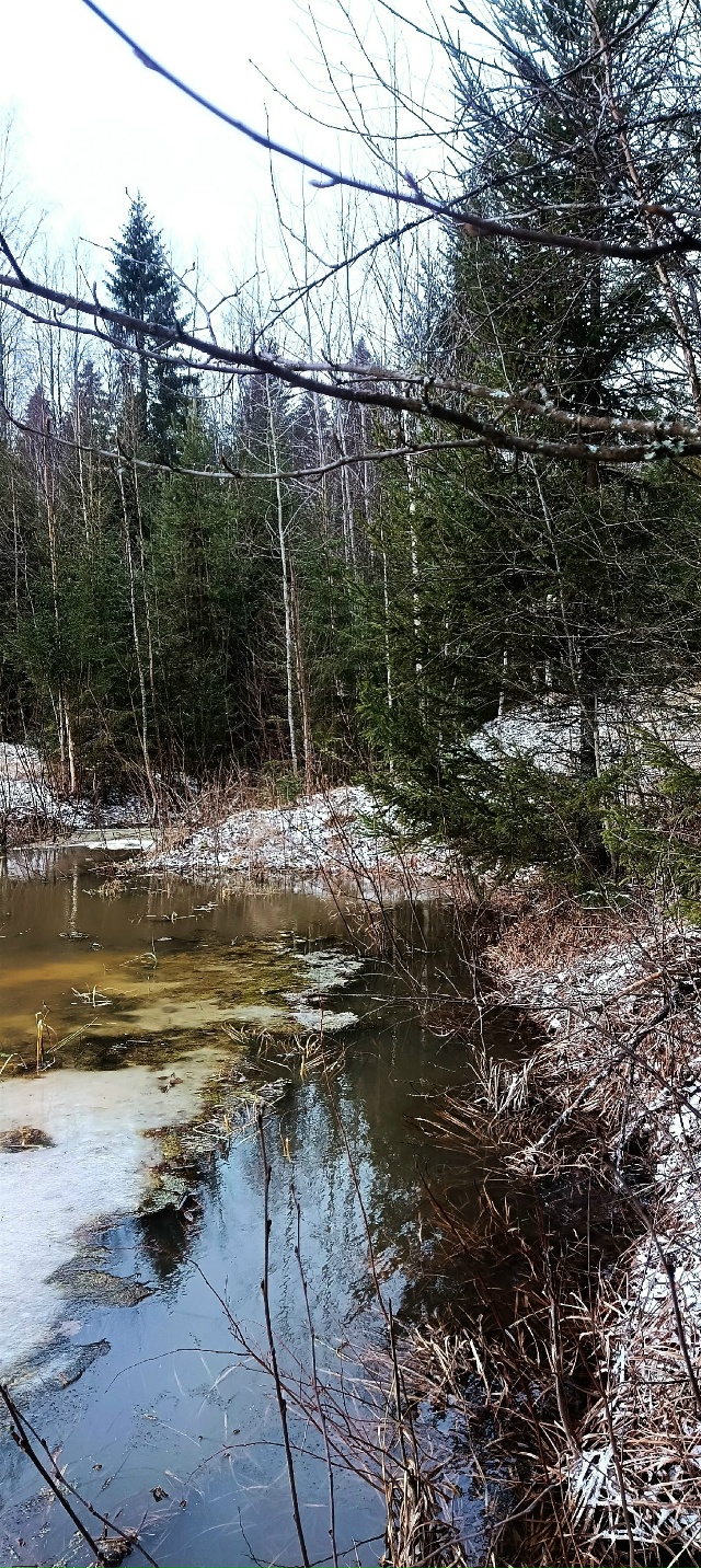 Доброй ночи, Никольск❤