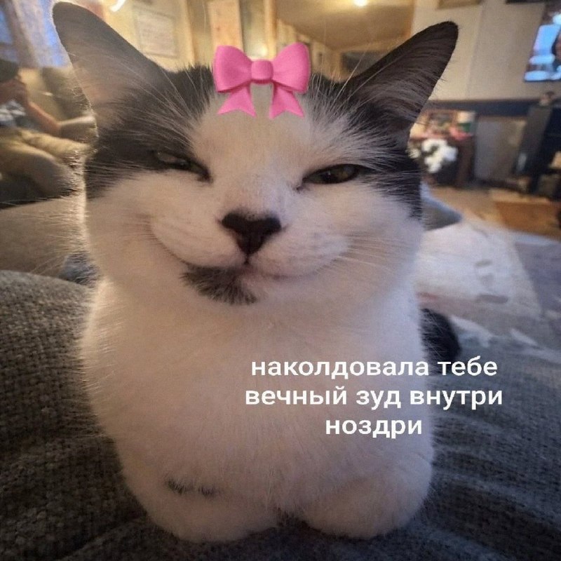 Утренняя подборочка