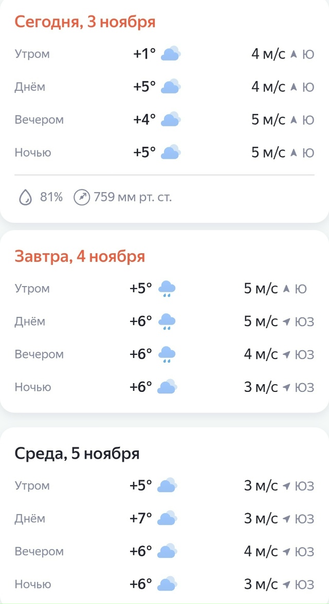 Погода в Выксе на ближайшие 3 дня ⛅