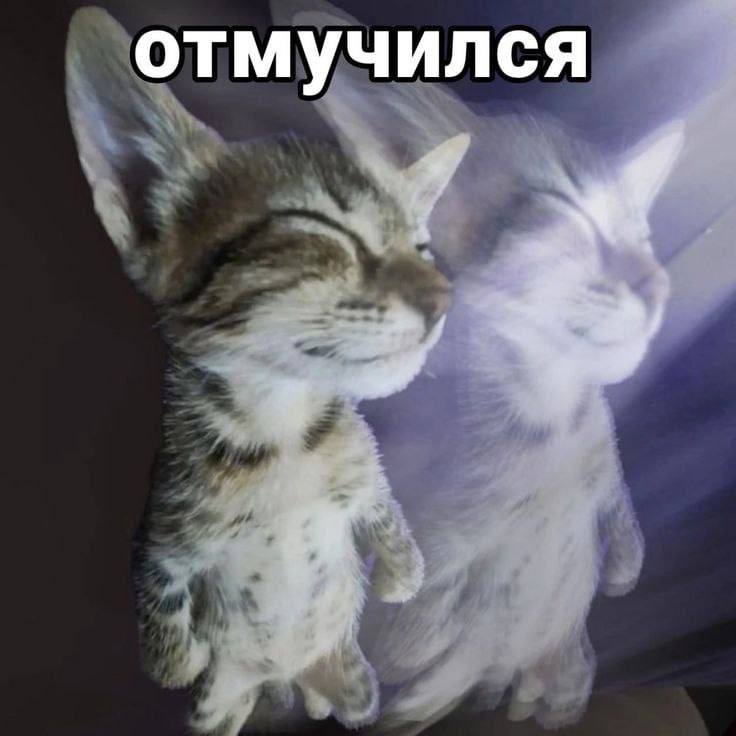 Утренняя подборочка