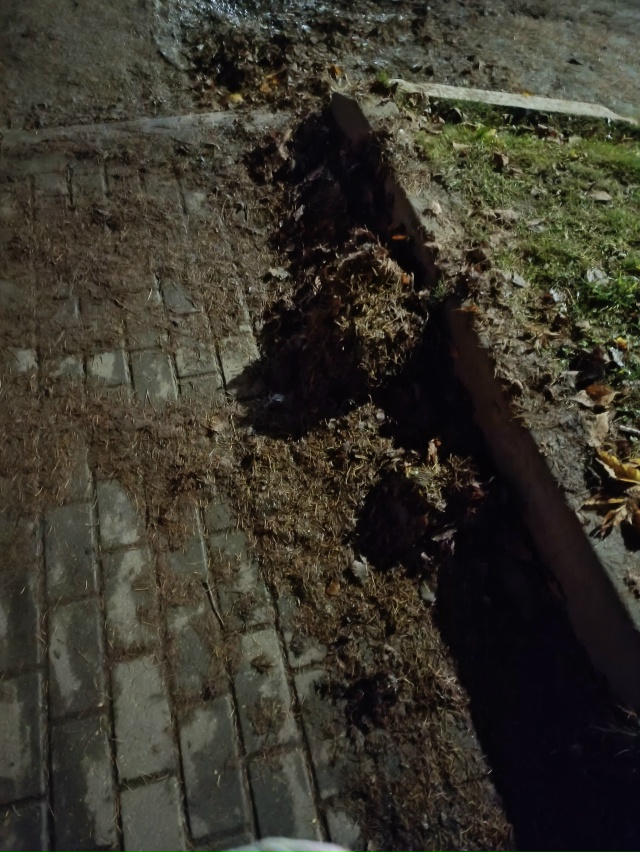 РОДНИКИ,вы мои серебряные! Уютный, маленький городок, к...