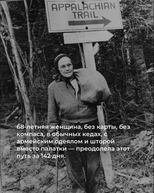 Прогулка длиной в 3500 километров: как 67-летняя Эмма Гейт...