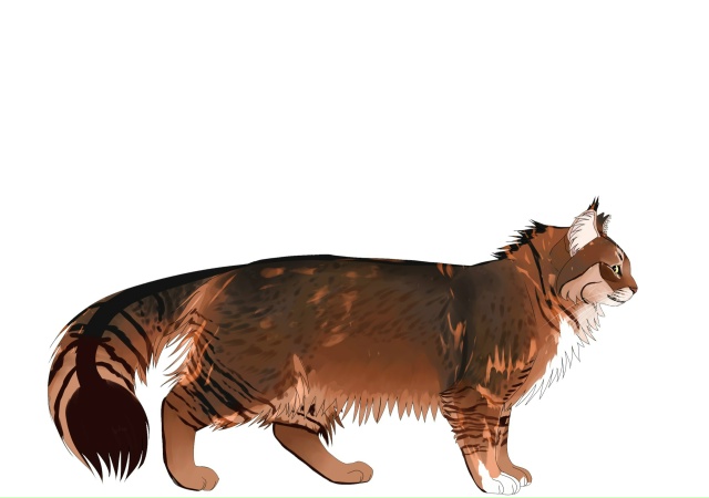 Белка и Листвичка
© web_spur
#KV_ZZ_ART