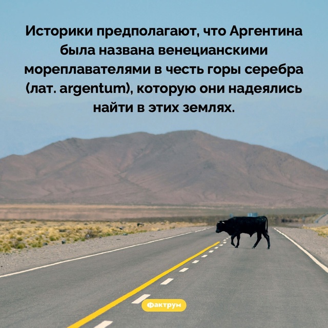 Подборка интересных фактов.