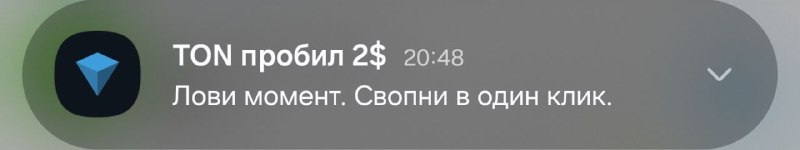 Рогозов предлагает сливать