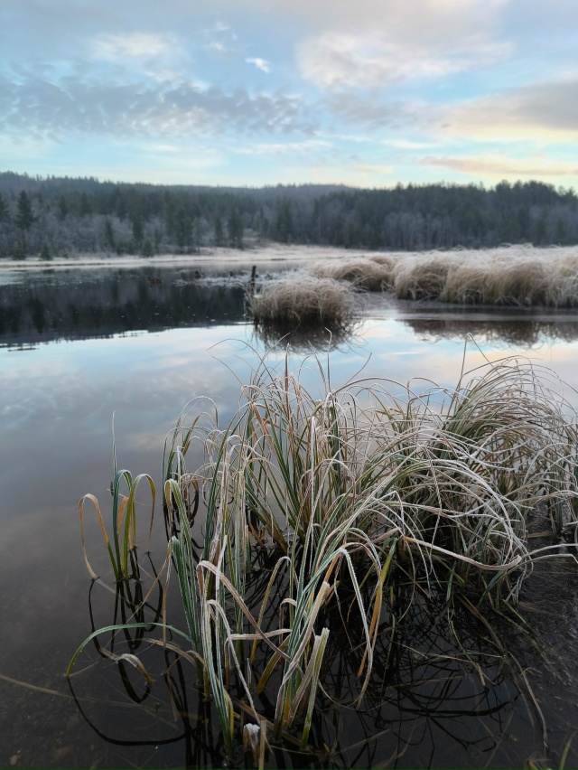 Замерло всё в ожидании зимы...
Фото: [id7677905|Анна Шейко]