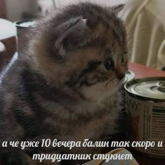 Ночная подборочка
Спать, режим