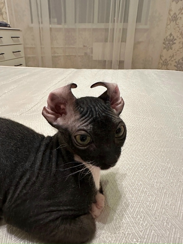 Симочка ❤️