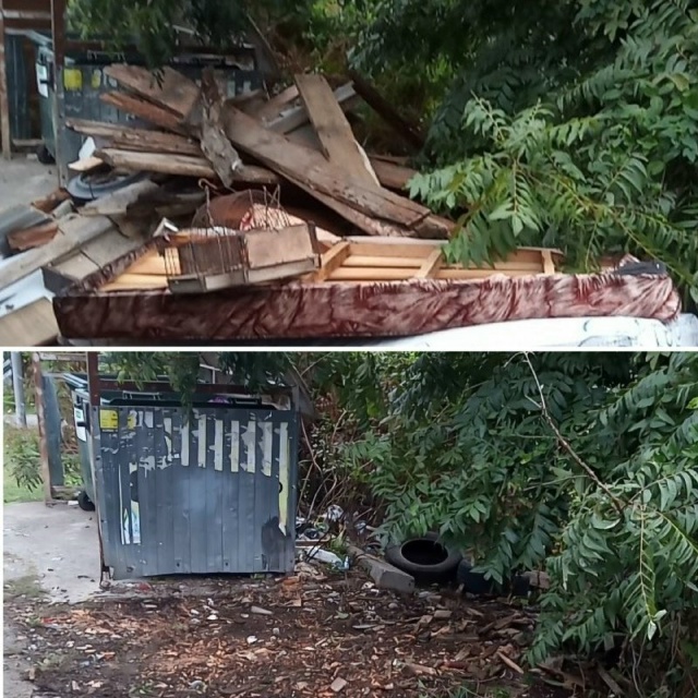 Власти Сочи заметили горы мусора и начали большую убор...