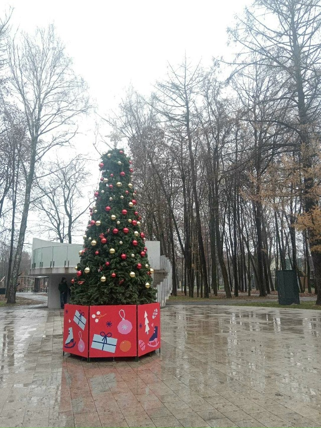 🌲Коломна потихоньку превращается в новогоднюю сказк?...