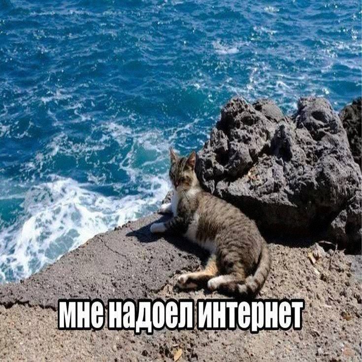Утренняя подборочка