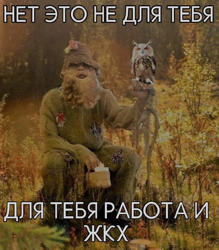 Ночная подборочка
Спать, режим