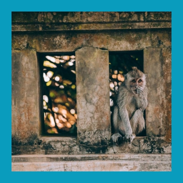 Оспа обезьян уже в России! Врачи подтвердили новые слу?...